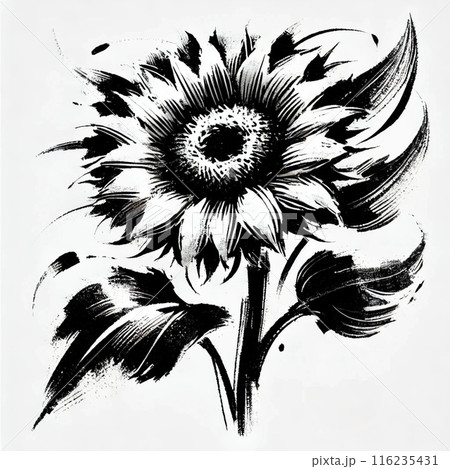 ひまわり 水墨画のイラスト素材 [116235431] - PIXTA