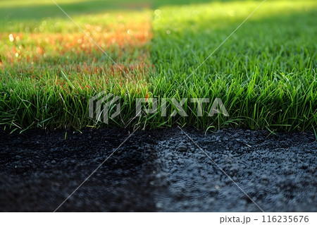 Lush Green Grass vs. Dry Brown Lawn: Nature's Contrast for Garden Landscaping Inspiration Generative AI 116235676