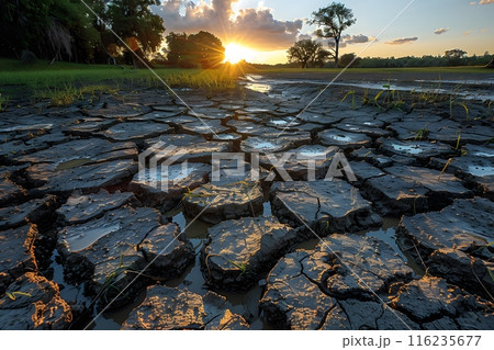 Stunning Sunset Over Drought-Stricken Landscape Highlighting Cracked Earth and Clinging Vegetation Generative AI 116235677