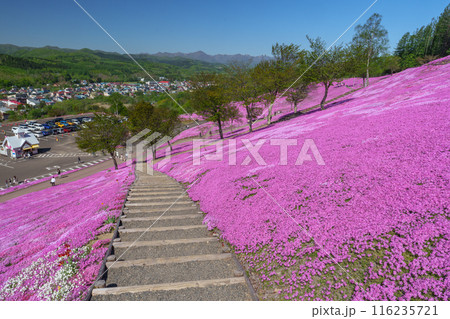 滝上公園の芝桜 北海道絶景の春の花畑 5月 滝上公園の芝桜 北海道絶景の春の花畑 5月 116235721