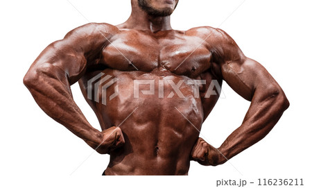 male bodybuilder pose double biceps isolated on white background 116236211