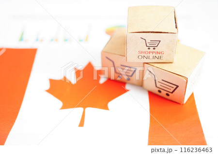 Online shopping, Shopping cart box on Canada flag, import export, finance commerce. 116236463