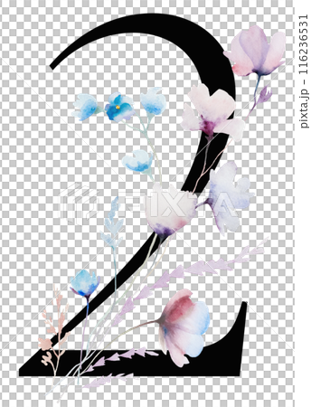 Black number 2 with Watercolor pastel wild flowers and leaves, wedding isolated illustration 116236531