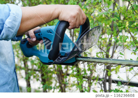 Gardener trimming bush by electric hedge clippers in garden. Hobby at home. Gardener trimming bush by electric hedge clippers in garden. Hobby at home. 116236608