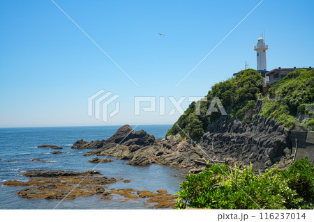 伊勢志摩　大王崎灯台 116237014