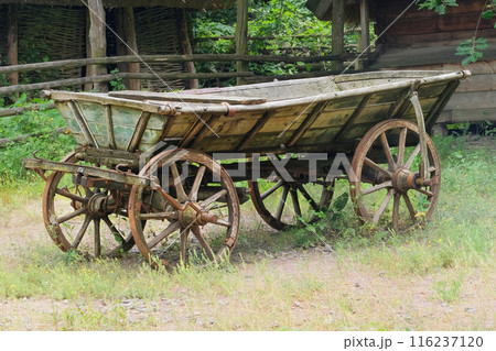 Old wooden cart. Rural transport in nature landscape. 116237120