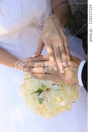 結婚式 結婚式 116237124