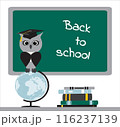 Stacks of books, a wise owl in a graduate hat sits on a globe. Green background chalkboard inscription back to school. Modern design template banner. Vector 116237139