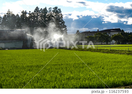 岩手県滝沢市農家のco2環境問題 116237593