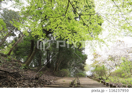 後閑城址公園 116237950