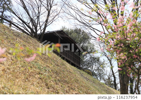 後閑城址公園(南郭東屋) 後閑城址公園(南郭東屋) 116237954