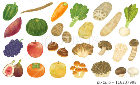 秋の食べ物のイラストセット 秋の食べ物のイラストセット 116237998