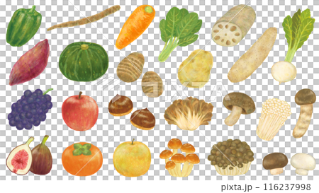 秋の食べ物のイラストセット 秋の食べ物のイラストセット 116237998
