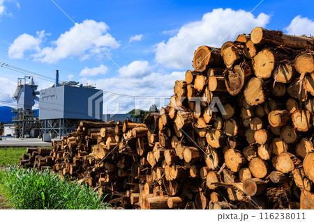 さつま町バイオマス発電所と木材 さつま町バイオマス発電所と木材 116238011