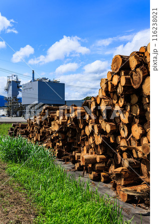 さつま町バイオマス発電所と木材 116238021
