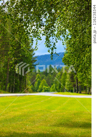 Road landscape in norwegian mountains Road landscape in norwegian mountains 116238344