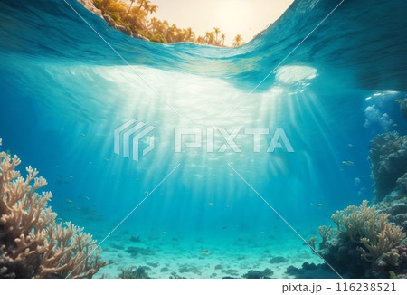 underwater scene with coral reef and fishes 116238521