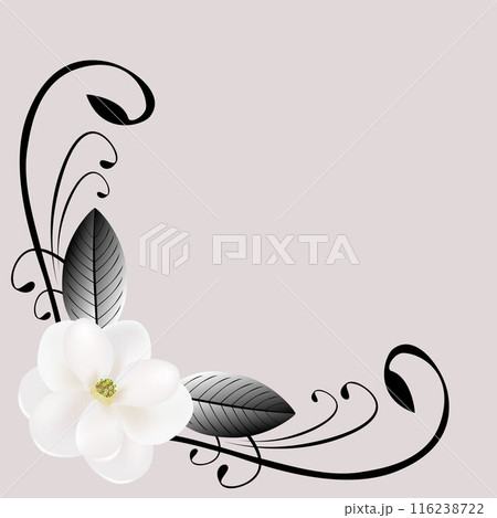 Corner composition with white magnolia and leaves. Corner composition with white magnolia and leaves. 116238722