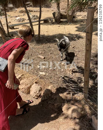 Portrait of a young white woman in a red dress with a goat Portrait of a young white woman in a red dress with a goat 116238799