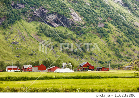 Mountains summer landscape in Norway. Mountains summer landscape in Norway. 116238800