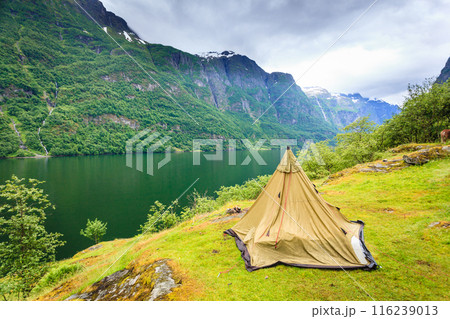 Mountains landscape and fjord in Norway 116239013