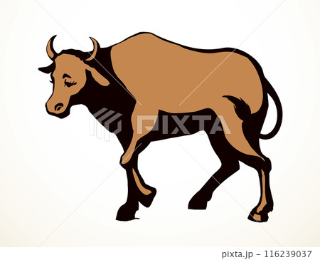 Vector drawing. Cute big cow Vector drawing. Cute big cow 116239037