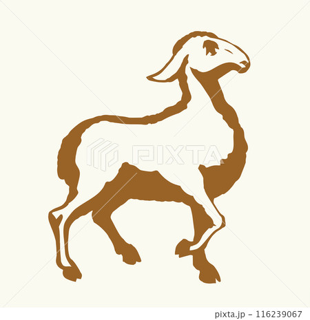 Vector drawing. Cute small sheep 116239067