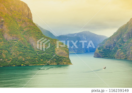 Aurland fjord from Stegastein view point, Norway Aurland fjord from Stegastein view point, Norway 116239149