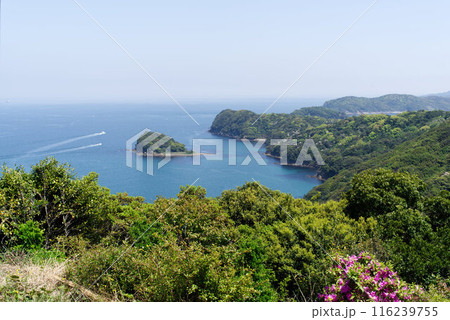 和歌山県友ヶ島から見た海の景色 116239755