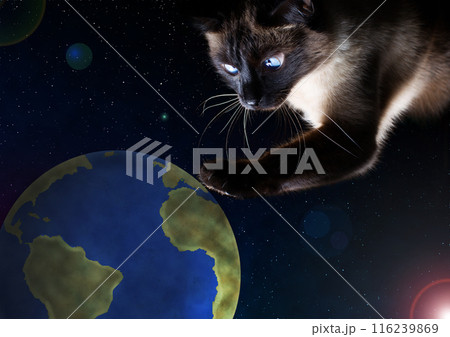 The cat hunts the planet Earth. The concept of the planet Earth is in danger 116239869