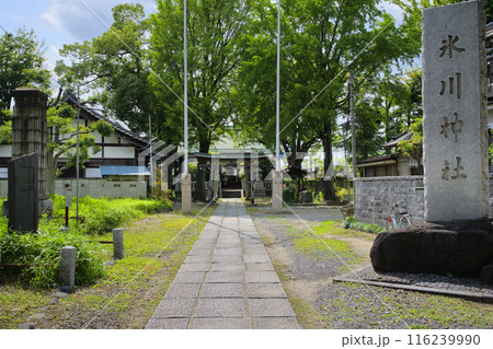 大川町氷川神社　参道　東京都足立区千住大川町 116239990