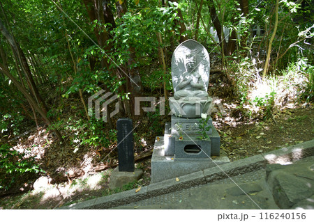 新緑の杜の都仙台 北山 輪王寺 参道 悟りの道 大日如来 新緑の杜の都仙台 北山 輪王寺 参道 悟りの道 大日如来 116240156