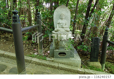 新緑の杜の都仙台　北山　輪王寺　参道　悟りの道　阿閦如来 116240157