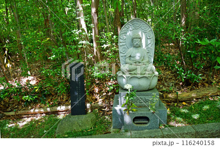 新緑の杜の都仙台　北山　輪王寺　参道　悟りの道　阿弥陀如来 116240158