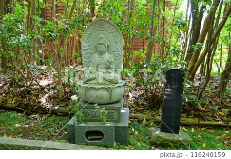 新緑の杜の都仙台　北山　輪王寺　参道　悟りの道　勢至菩薩 116240159