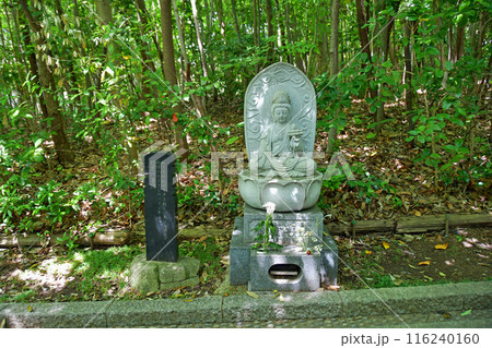 新緑の杜の都仙台　北山　輪王寺　参道　悟りの道　観音菩薩 116240160