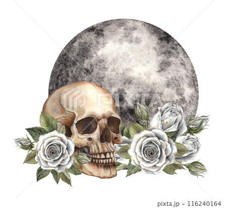 A skull with white roses and leaves surrounded by a large black and gray moon. Hand drawn watercolor illustration in gothic style. Suitable for Halloween design, day of the dead, cards, posters 116240164