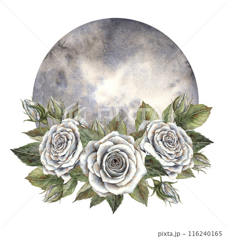 A cool white rose with green leaves and a large moon. Hand drawn watercolor illustration in magical style. For design, decorations, cards, Halloween invitations, witchcraft themes, horoscopes 116240165