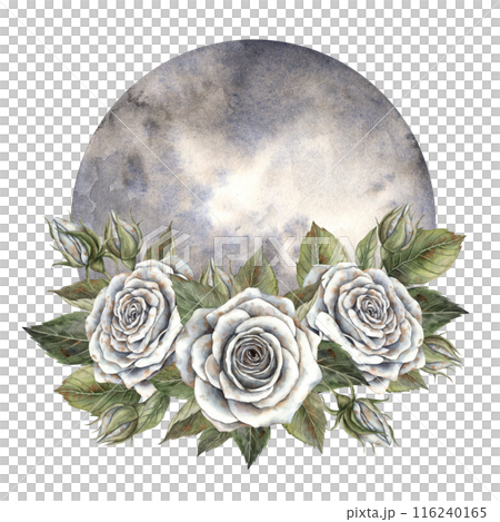 A cool white rose with green leaves and a large moon. Hand drawn watercolor illustration in magical style. For design, decorations, cards, Halloween invitations, witchcraft themes, horoscopes 116240165