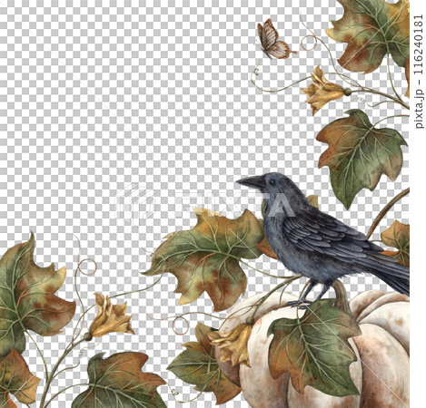 White pumpkin, black crow, pumpkin leaves and butterflies. Watercolor frame on isolated background in mystical style. Suitable for decoration, cards, autumn holiday posters, Thanksgiving, Halloween 116240181