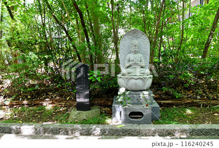 新緑の杜の都仙台　北山輪王寺　参道　悟りの道　普賢菩薩 116240245