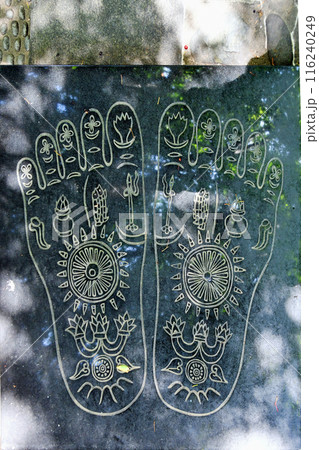 新緑の杜の都仙台　北山輪王寺　参道　悟りの道　釈迦の脚 116240249