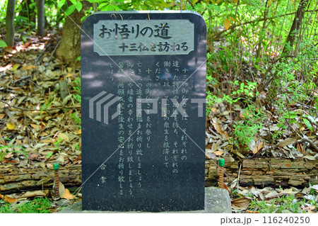 杜の都仙台 輪王寺 参道 悟りの道の十三仏 杜の都仙台 輪王寺 参道 悟りの道の十三仏 116240250