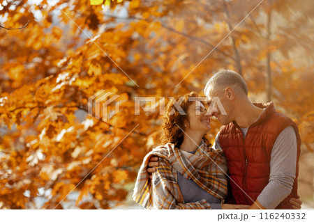 happy romantic couple in park hugging 116240332