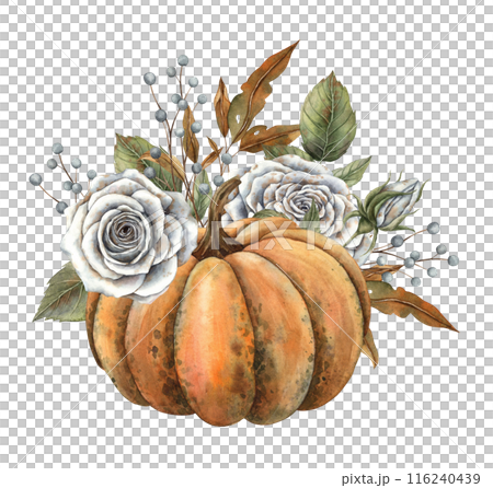 Orange pumpkin, white roses, dry autumn leaves and berries. Hand drawn watercolor illustration in vintage botanical style. Suitable for Halloween, Thanksgiving, cards, posters, invitations design 116240439