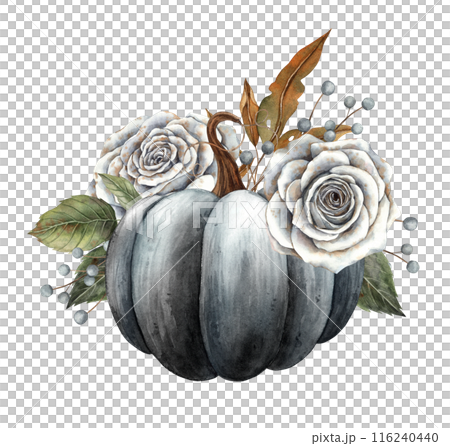 Black pumpkin, white roses, dry autumn leaves and berries. Hand drawn watercolor illustration in vintage botanical style. Suitable for Halloween, Thanksgiving, cards, posters, invitations design Black pumpkin, white roses, dry autumn leaves and berries. Hand drawn watercolor illustration in vintage botanical style. Suitable for Halloween, Thanksgiving, cards, posters, invitations design 116240440