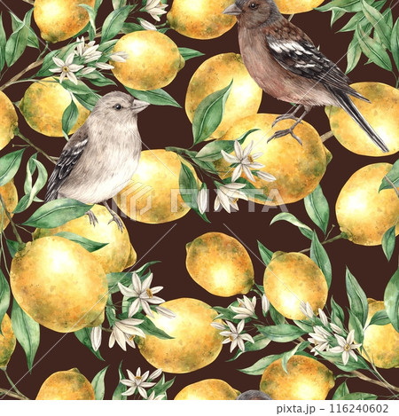 Seamless pattern of yellow lemon branches, leaves and flowers with sitting birds on a brown background. Watercolor drawing in realistic style. Pattern for interior, cards, wedding design, textiles Seamless pattern of yellow lemon branches, leaves and flowers with sitting birds on a brown background. Watercolor drawing in realistic style. Pattern for interior, cards, wedding design, textiles 116240602