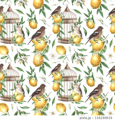 Seamless pattern of yellow lemons, leaves, birds and copper vintage cage on a white background. Watercolor drawing in vintage style. Drawing for interior, cards, wedding design, invitations, textiles 116240619