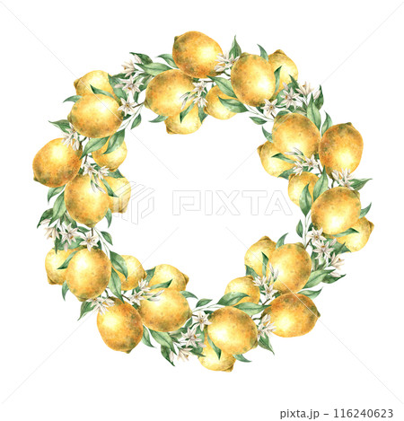 Wreath of yellow lemon fruits with green leaves and branches. Isolated watercolor illustration in realistic style. Handmade composition for design of cards, wedding design, invitations, textiles 116240623