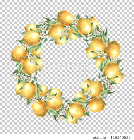 Wreath of yellow lemon fruits with green leaves and branches. Isolated watercolor illustration in realistic style. Handmade composition for design of cards, wedding design, invitations, textiles 116240623